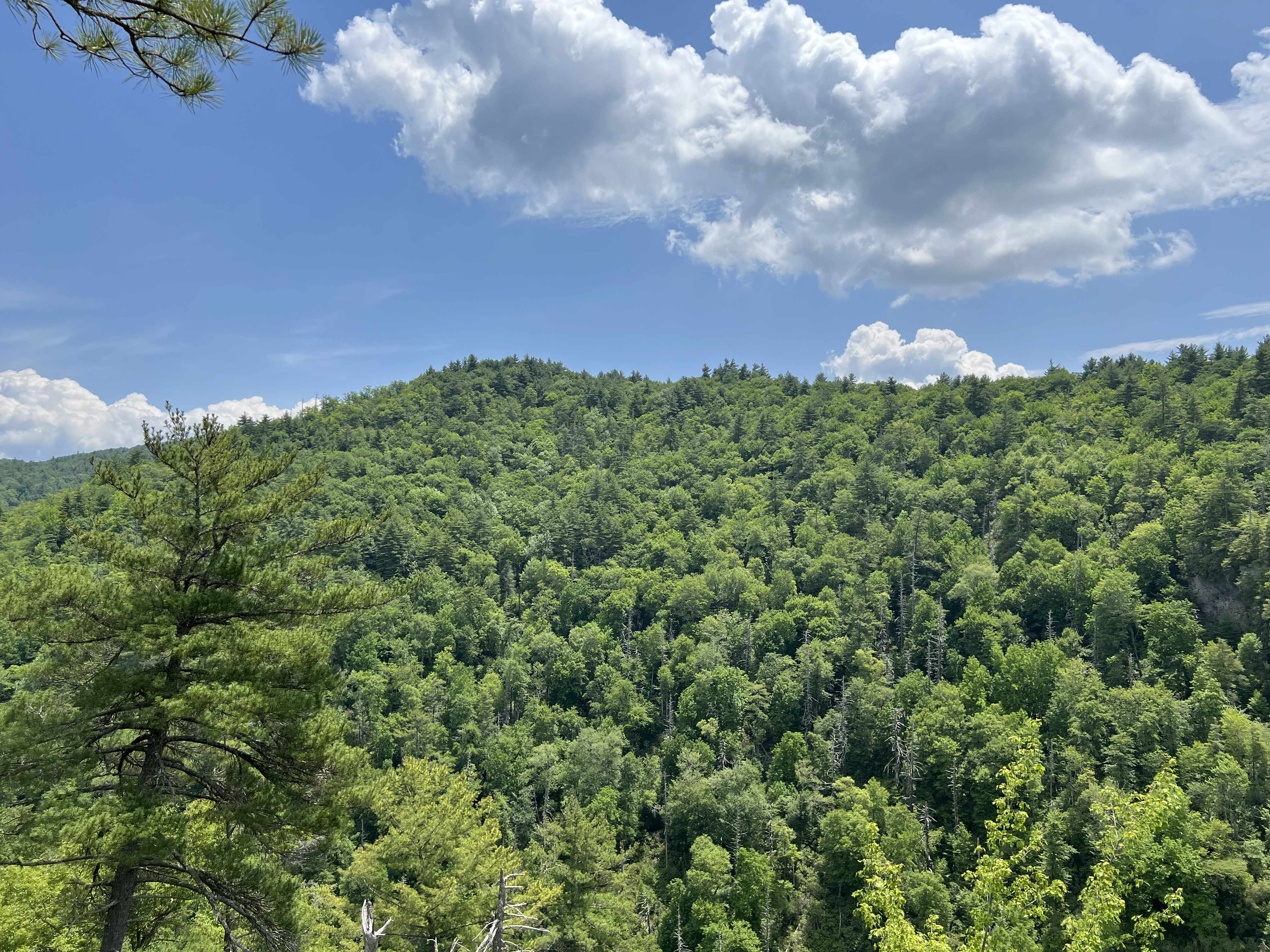 ./2024/08 - Banner Elk/Linville Falls/IMG_2091.jpg
